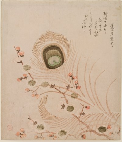 बेर शाखा और मोर पंख, 1810 के मध्य से (रंग वुडब्लॉक प्रिंट) द्वारा कूबो शुम्मन